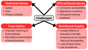 3d Printed Food - Challenges and Ethical Considerations